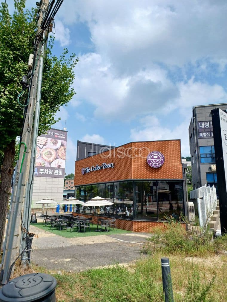 커피빈직통📞02-543-6736 2