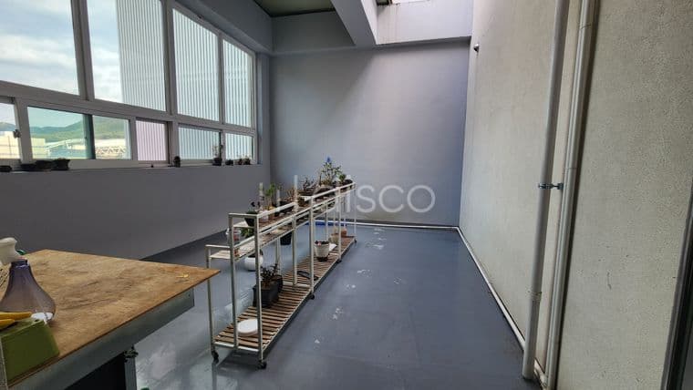알파시티내 4차선 도로변 상가임대 | 높은층 연호지구 숲 바라보는  조망권 좋은 위치 3