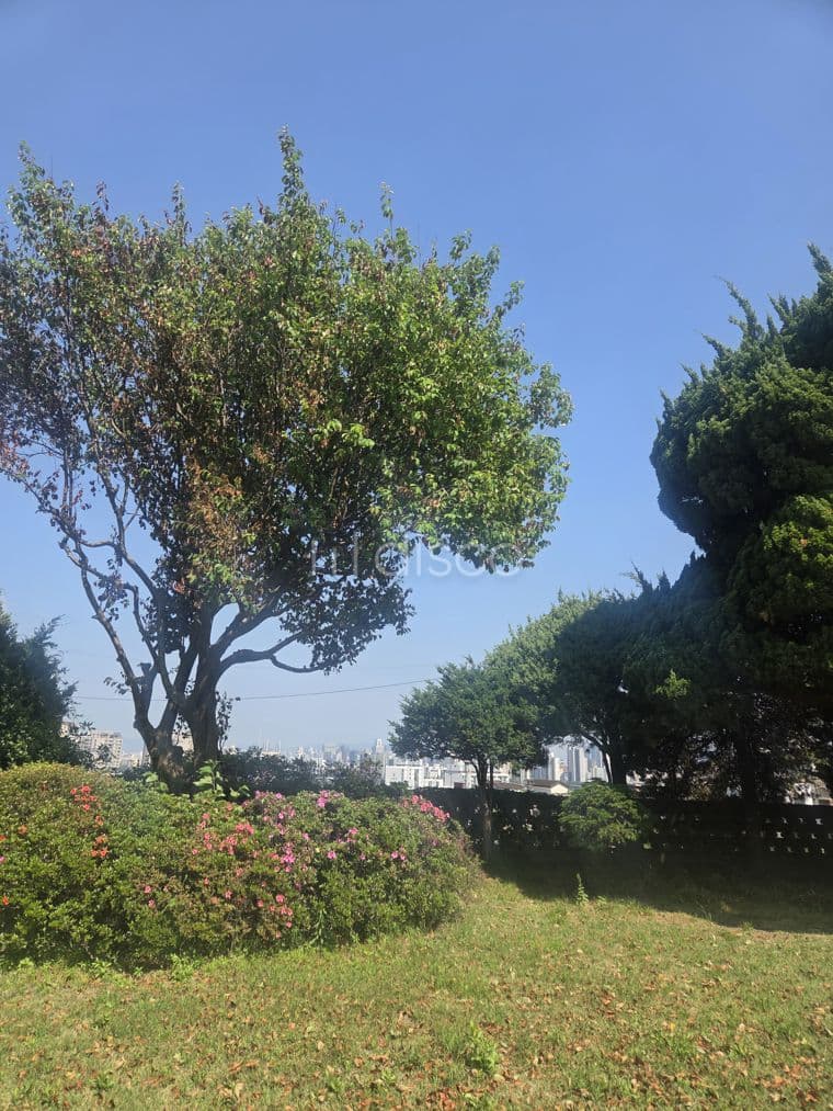 한남동 단독주택형 상가 임대
