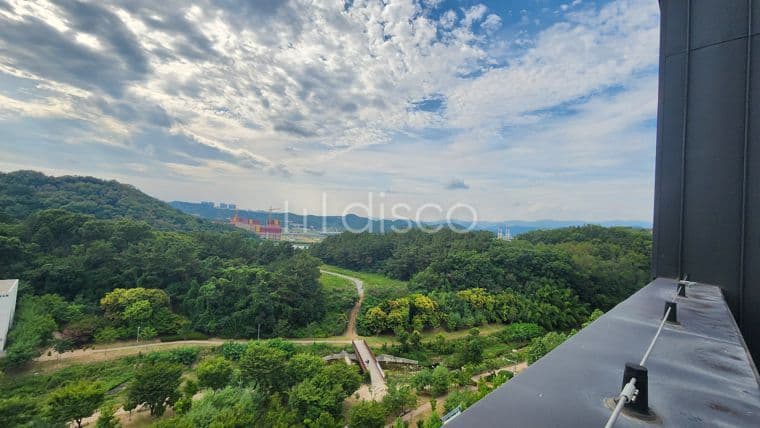 알파시티내 4차선 도로변 상가임대 | 높은층 연호지구 숲 바라보는  조망권 좋은 위치 20