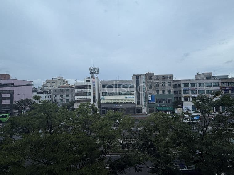 송파대로변 피부과/내과  병의원 추천  버스정류장 석촌역 초역세 7