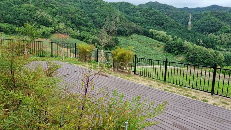 의료원에서 마즈막재삼거리 가기전 우측 신축상가. 주차장완비.4차선도로가임 8