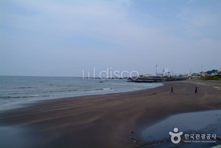 일반상업지역 일주도로접 해수욕장 1분거리 라마다호텔앞 14