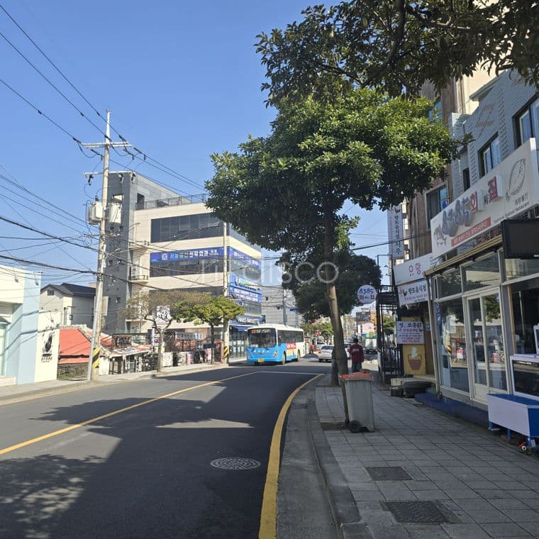 함덕해변 인근 메인상권 치킨집 임대(권리매매)