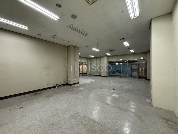 전용33 지식산업센터 인근 오피스텔 지하상가 7