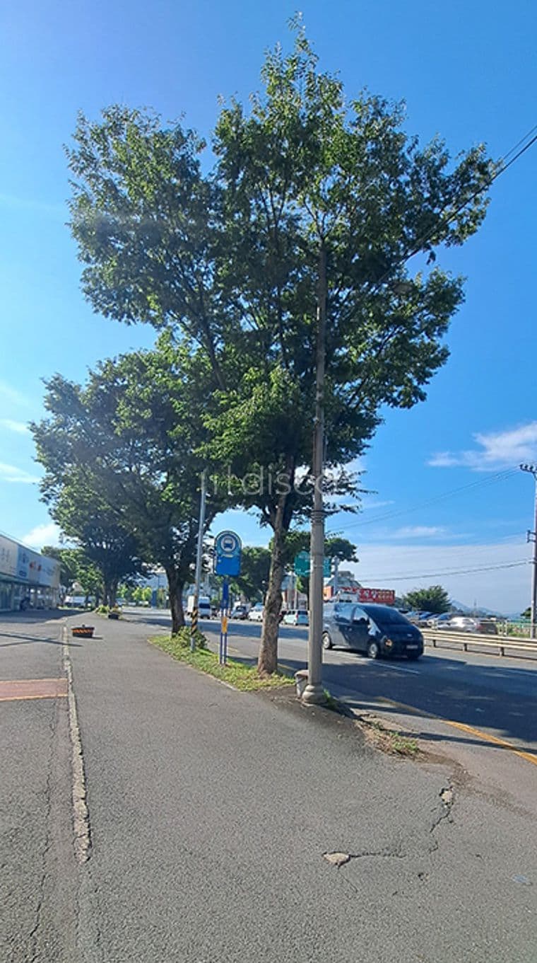 병원,한의원,사무실,판매점 추천,대로변에 위치한 대형평수 임대차물건.가격저렴 5