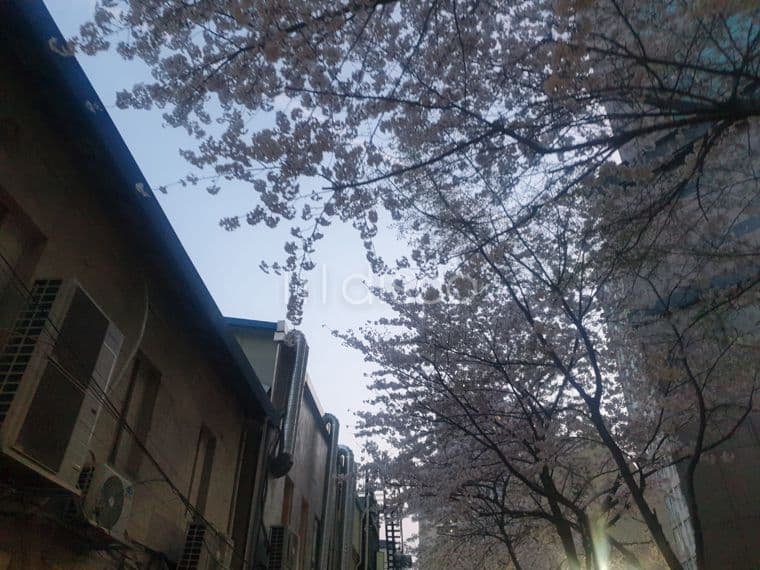 성수동 힙지 내 상가사무실 임대